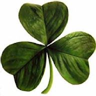 Shamrocks