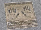 Fred O'Donovan (theatre producer)