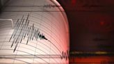 4.5 magnitude earthquake hits Maharashtra's Hingoli; no casualty