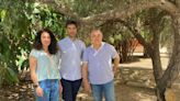 Un estudio de la Universidad de Jaén demuestra como los residuos de la poda del olivar pueden generar la energía necesaria para las almazaras