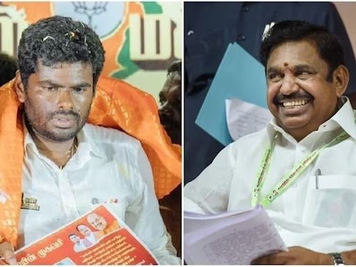 'An image has been created...': Annamalai, EPS trade barbs over Lok Sabha setback in Tamil Nadu