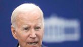 What Joe Biden's negative poll numbers say about his re-election chances