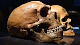 Neanderthal Genes Could Explain Why Some of Us Are Morning People