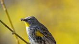 OMWD board honors winners of Elfin Forest Recreational Reserve photo contest