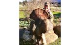 Atherton: Turkey hunter gets a mulligan