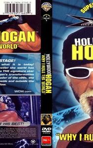 WCW Superstar Series: Hollywood Hogan - Why I Rule the World
