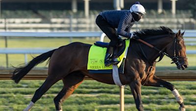 Belmont Stakes 2024 odds, post positions and field: Sierra Leone is morning-line favorite