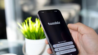 Bloqueio do X no Brasil ‘ressuscita’ até o Tumblr, que registra crescimento