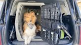 Is the crash-tested Gunner dog kennel worth it? We tried it to find out