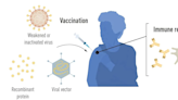 2023年諾貝爾生理醫學獎：COVID-19 mRNA疫苗的關鍵發現