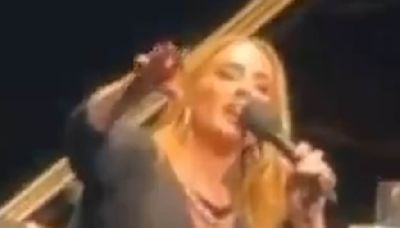 Adele furiously shuts down homophobic heckler at Las Vegas residency