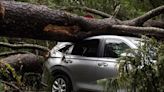At least 3 dead after severe storms roll through Louisiana, Mississippi and other southern states