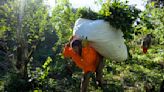 AP PHOTOS: In northeastern Argentina, yerba mate is more than the national drink, it's a way of life