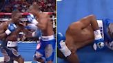 Terence Crawford unleashed one of most 'vicious body shots ever' in brutal KO