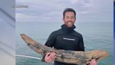 Scuba diver discovers 4-foot prehistoric mastodon tusk: ‘Absolutely surreal’