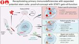 New stem cell model can help personalize stem cell treatment for immunodeficiency patients