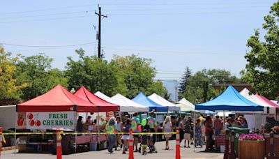 Farmers Market offers seed swap, passport program — and fresh produce