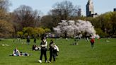 Why New York City might house migrants in Central Park