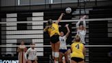 See the Greater Lansing high school volleyball stat leaders: Oct. 13