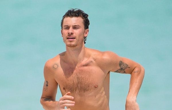 Shawn Mendes Was Spotted Shirtless in Miami Before His Rio Trip!