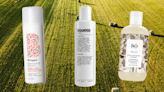 13 Best Biotin Shampoos in 2023