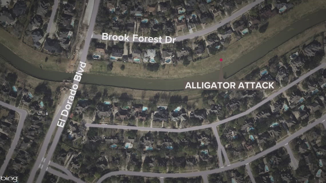 Houston police investigating possible gator attack after woman found dead near bayou in Clear Lake