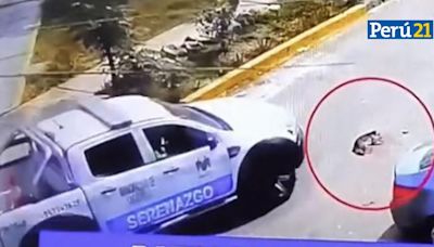 ¡INDIGNANTE! Perrito murió luego de ser atropellado por serenos de Carabayllo que huyeron (VIDEO)