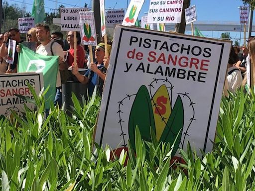 La polémica plantación de pistachos de Madrid: Ayuso tramita varias multas y el Gobierno sanciona al Ayuntamiento que le permite regar