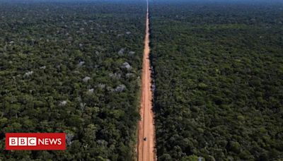 Asfaltamento da BR-319: como rodovia que liga Amazônia ao resto do país divide o governo Lula