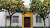 Sevilla veta los icónicos naranjos