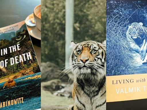 International Tiger Day 2024: 5 Engaging Books That Celebrate Our Admiration for Tigers