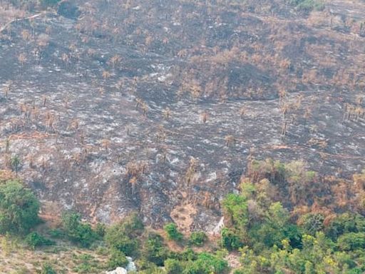 Se suma helicóptero para sofocar incendio forestal en Lázaro Cárdenas