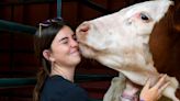 Entries up as livestock auction gets underway at Ventura County Fair