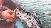 New York high school student from Westchester County earns top annual Fish Art Contest honor - Outdoor News