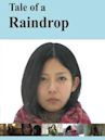 Tale of a Raindrop