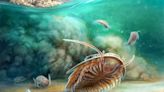 ‘Remarkably preserved’ 500-million-year-old sea creature discovered