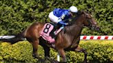 Saturday's Preakness Stakes could keep Triple Crown hopes up
