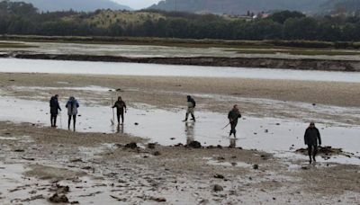 Indignación entre los mariscadores al autorizar Costas el cultivo de almejas en la ría de Villaviciosa (y el canon, solo 32,14 euros al año)