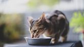 Sheba: Has the Cat Food Brand Issued a Recall in 2024?