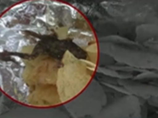 Dead frog found in packet of potato wafers in Jamnagar, probe ordered