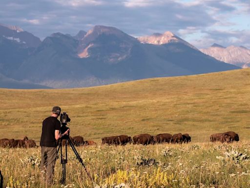 Ken Burns on ‘The American Buffalo’ and the Tragedy of Mass Eradication