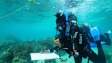 Black Marine Biologists And Certified Divers Share Best Destinations For Scuba Diving and Snorkeling