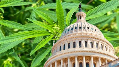 US Senators Introduce Bill To Legalize Marijuana