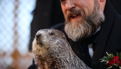 Here's what Punxsutawney Phil's groundhog babies were named