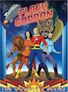 The New Adventures of Flash Gordon