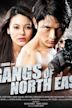 Gangs of North East