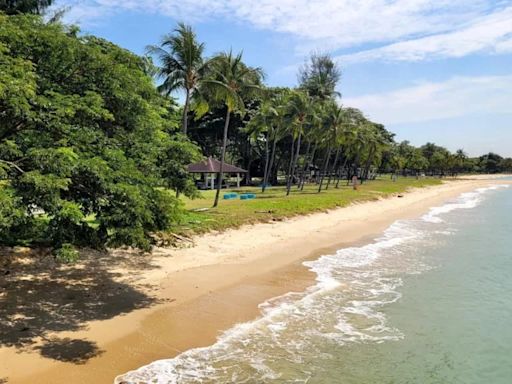 East Coast Park Beach Reopens, Water Activities Resume After Oil Spill Cleanup