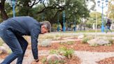 La Ciudad de Mendoza es nuevamente reconocida a nivel internacional por sus políticas ambientales | Sociedad