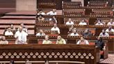 Lack of jobs, allocation for states flagged in Rajya Sabha