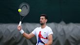 Wimbledon: Novak Djokovic advances to semifinals after Alex de Minaur withdraws due to injury